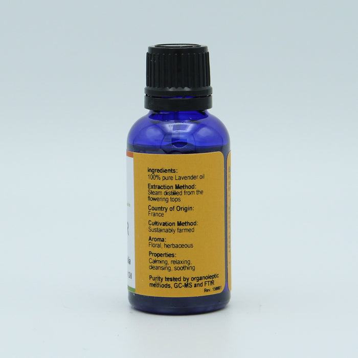 Lavender, French, Essential Oil, 1 fl oz