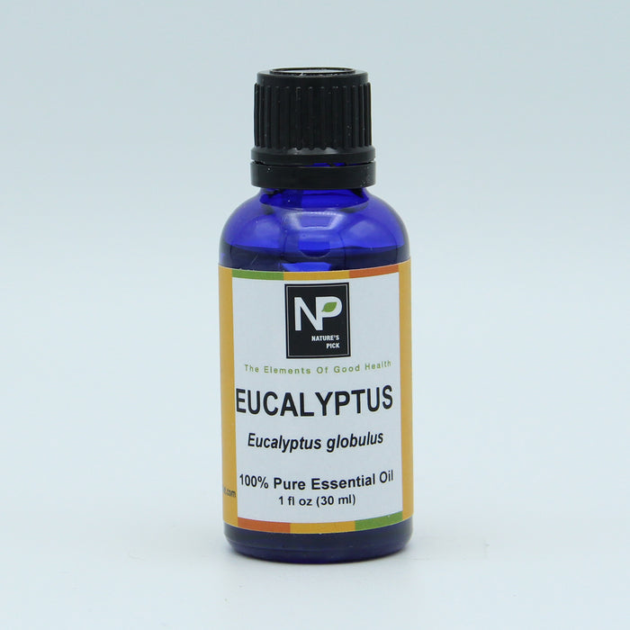 Eucalyptus Essential Oil, 1 fl oz