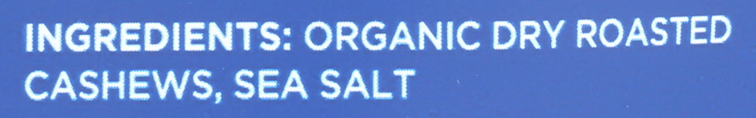 Roasted Cashews, Sea Salt Org, 4 oz