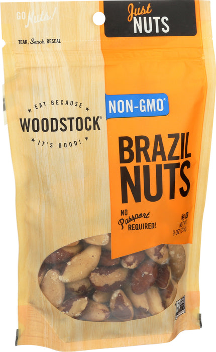 Raw Brazil Nuts, Medium Fancy, 9 oz