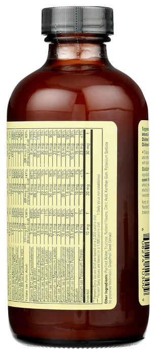 Multi Vitamins & Mineral, Orange/Mango, 8 fl oz