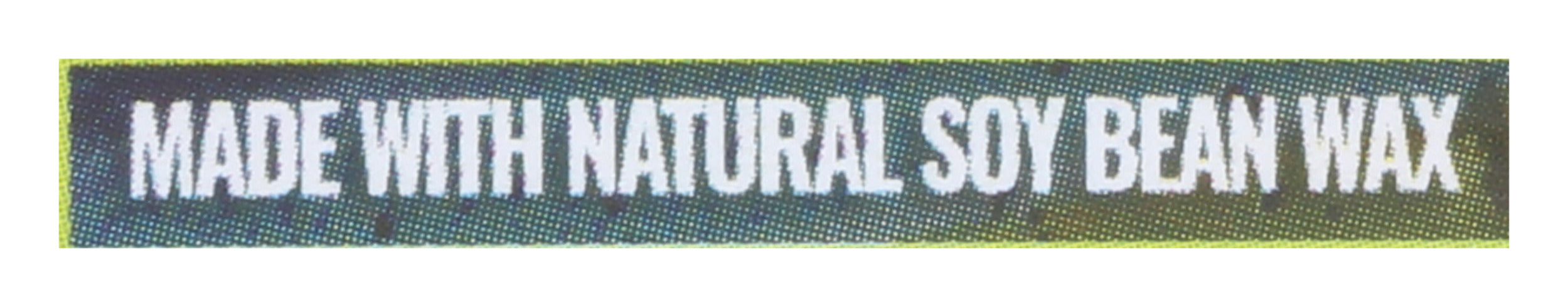 Bamboo Toothbrush, Kids, 2 pk