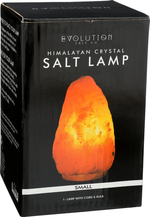 Natural 6 lb Himalayan Pink Salt Lamp, 1 ct