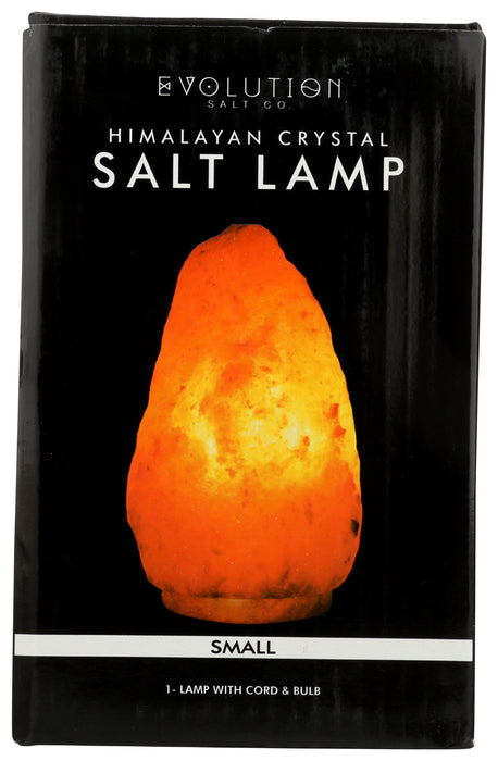 Natural 6 lb Himalayan Pink Salt Lamp, 1 ct