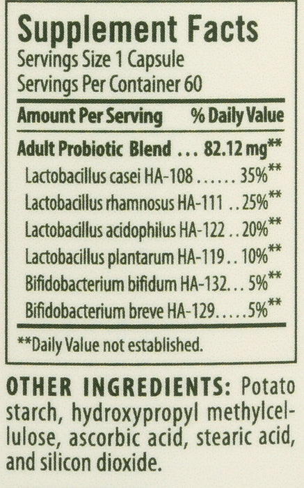 Adult Probiotic, 60 cap