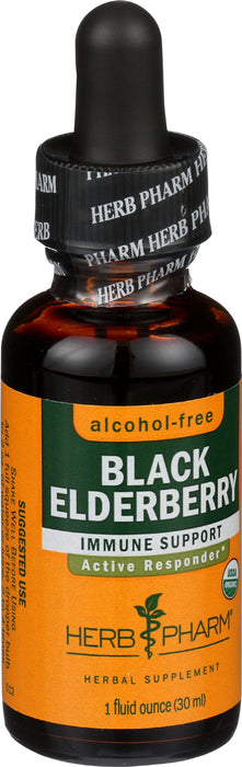 Black Elderberry Glycerite 1 oz