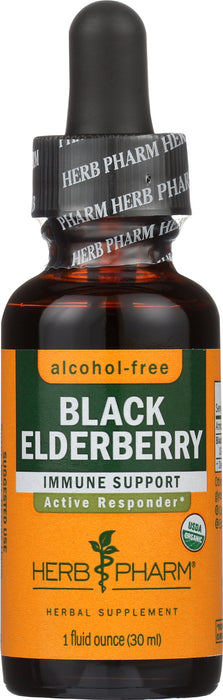 Black Elderberry Glycerite 1 oz