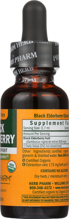 Black Elderberry Glycerite 1 oz