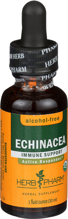 Echinacea Glycerite 1 oz