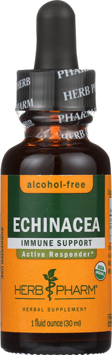 Echinacea Glycerite 1 oz