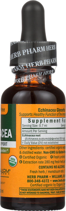 Echinacea Glycerite 1 oz