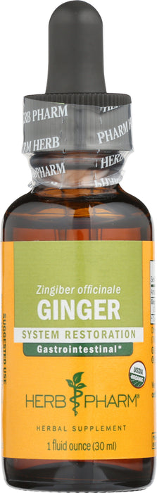 Ginger Extract, 1 oz