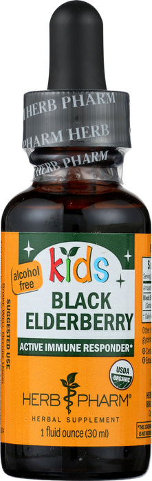 Kids Black Elderberry Glycerite 1 oz