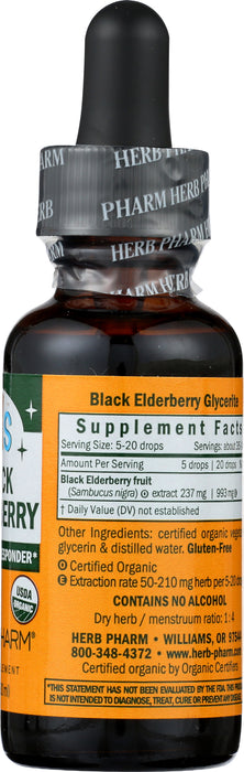 Kids Black Elderberry Glycerite 1 oz