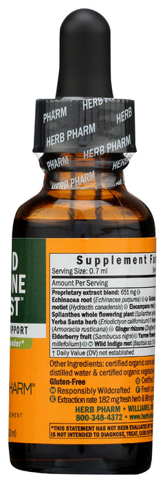 Rapid Immune Boost, 1floz