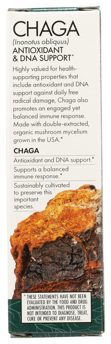 Chaga Extract, 1 floz