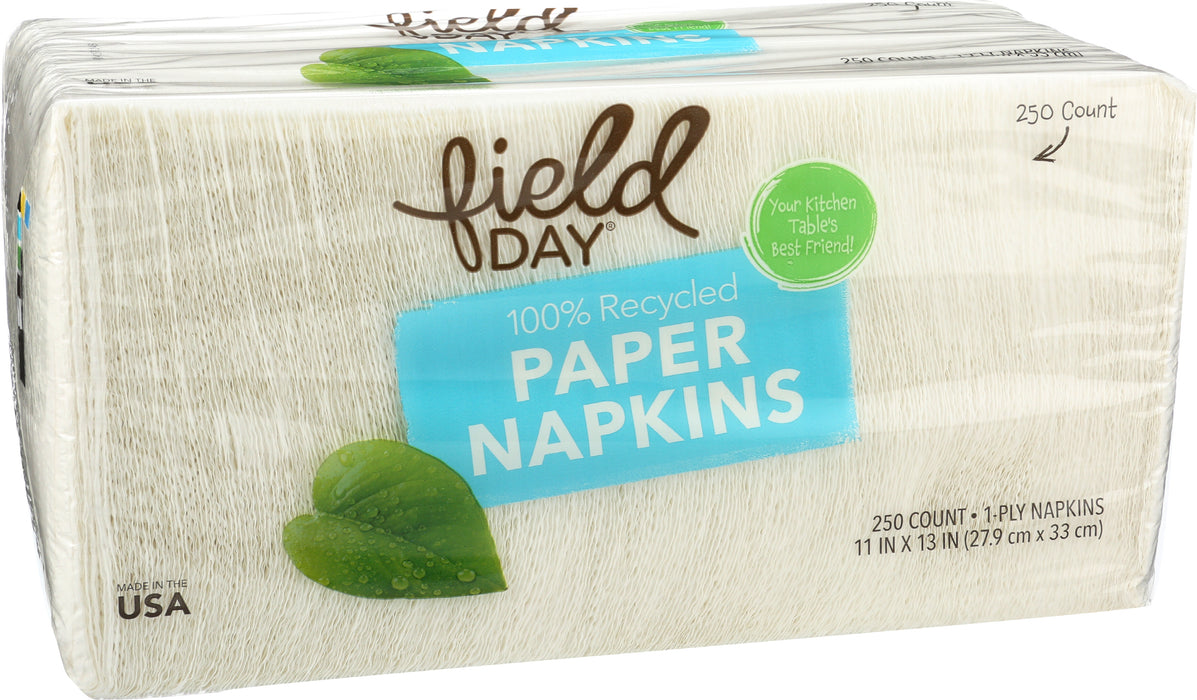 White Paper Napkins, Recycled, 250 ct