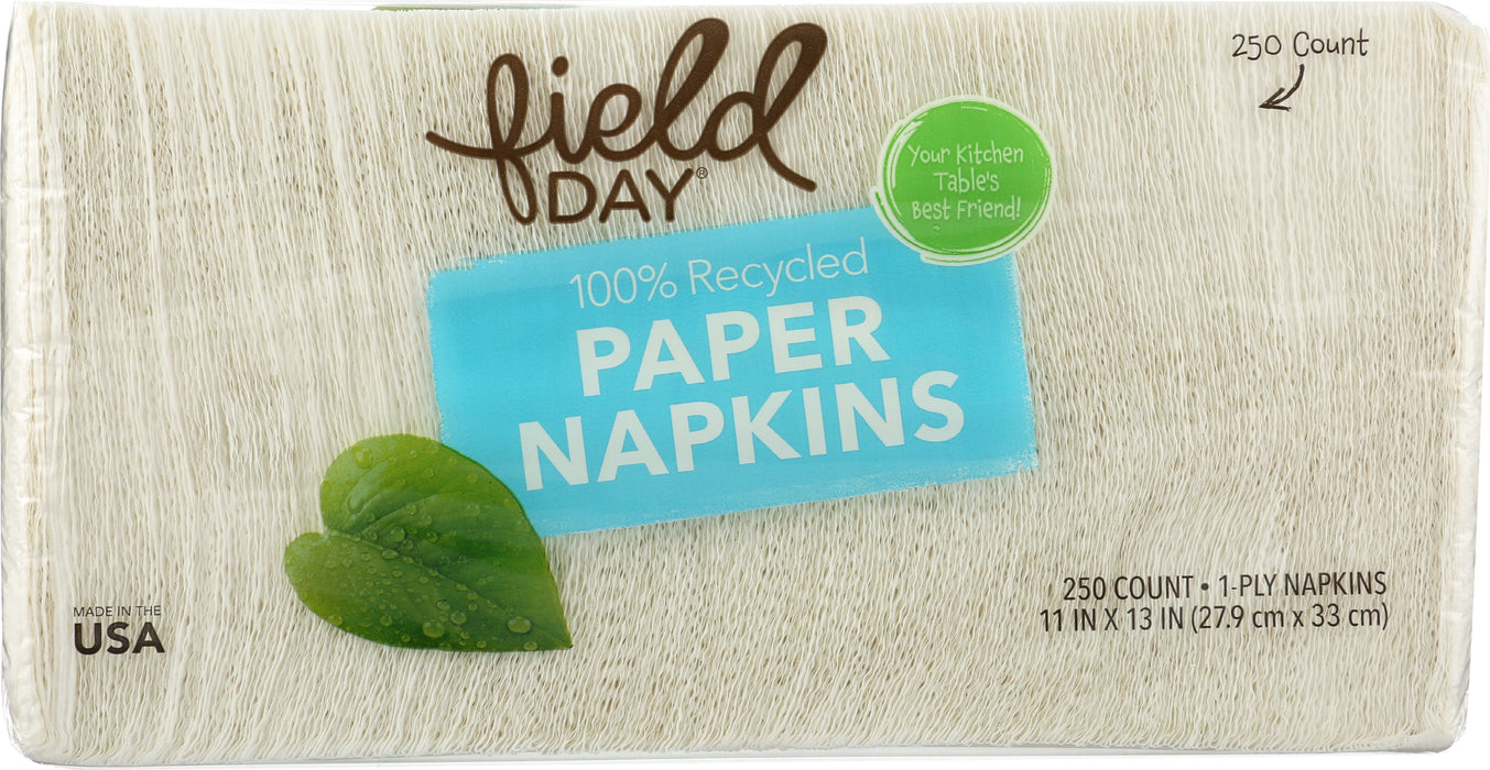 White Paper Napkins, Recycled, 250 ct