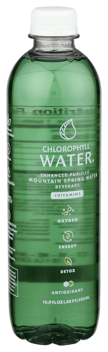 Mountain Spring Water Beverage, 16.9 floz