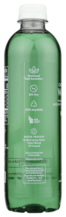 Mountain Spring Water Beverage, 16.9 floz