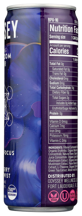 Sparkling Mushroom Elixir, Blackberry Lemon, 12 fl oz