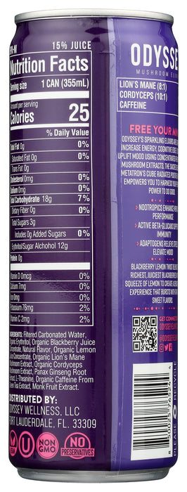 Sparkling Mushroom Elixir, Blackberry Lemon, 12 fl oz