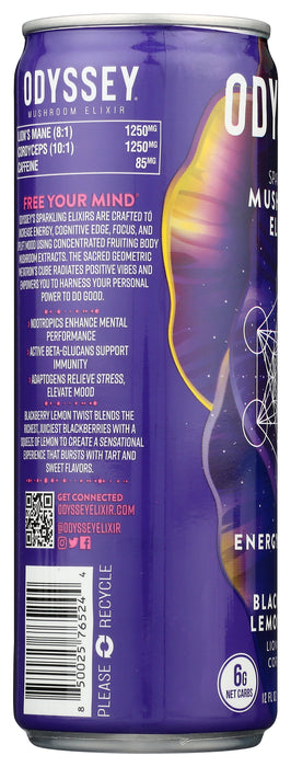 Sparkling Mushroom Elixir, Blackberry Lemon, 12 fl oz