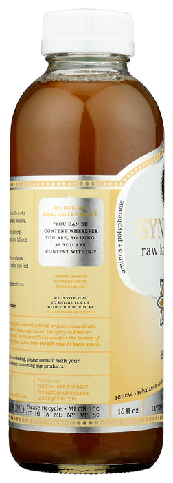 Synergy Raw Kombucha, Pure, Org, 16 floz