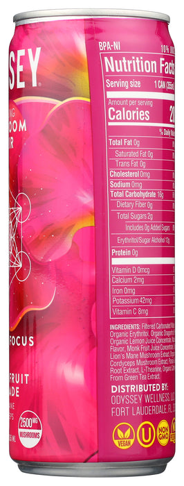 Sparkling Mushroom Elixir, Dragonfruit Lemonade, 12 fl oz