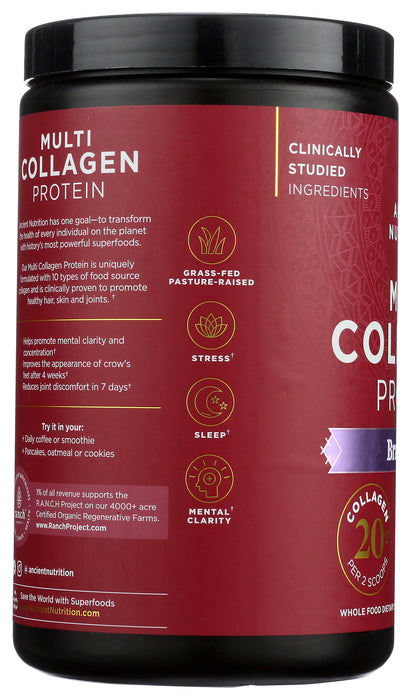 Multi Collagen Protein, Brain Boost, Vanilla, 45 Serv/454 g