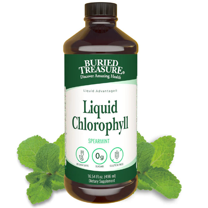 Chlorophyll Liquid, Spearmint, 16 fl oz