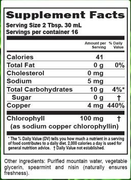 Chlorophyll Liquid, Spearmint, 16 fl oz