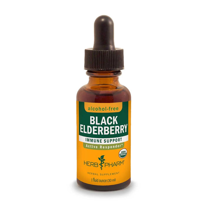 Black Elderberry Extract 1 oz