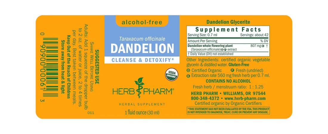 Dandelion Glycerite 1 oz