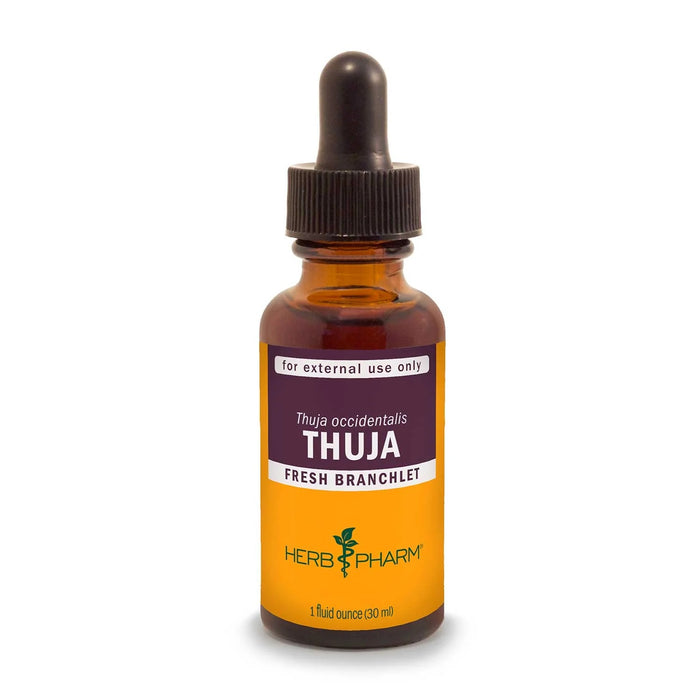 Thuja Extract 1 oz