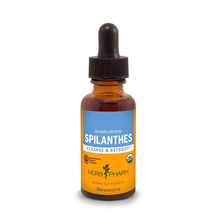 Spilanthes Extract, 1 oz