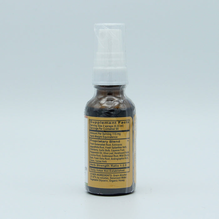 Sinus Blaster Spray, 1 fl oz