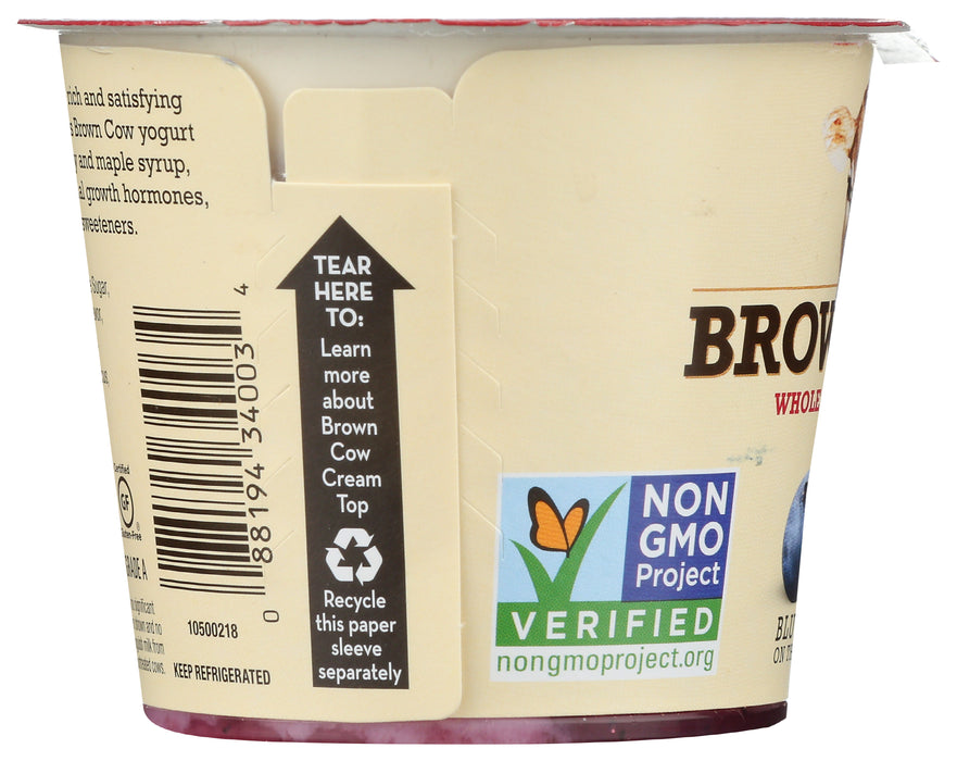 Cream Top Whole Milk Yogurt, Blueberry, 5.3 oz