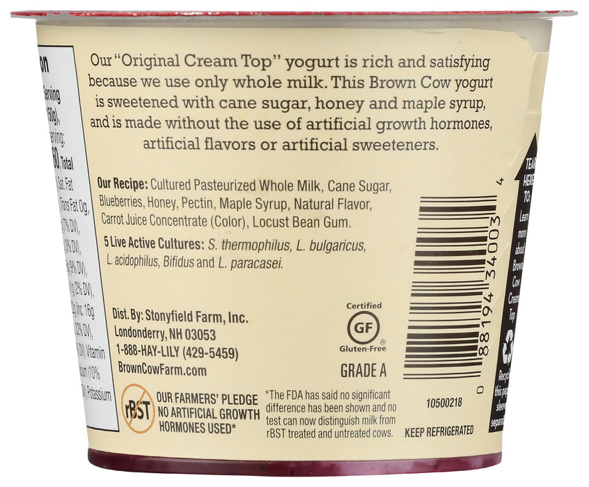 Cream Top Whole Milk Yogurt, Blueberry, 5.3 oz