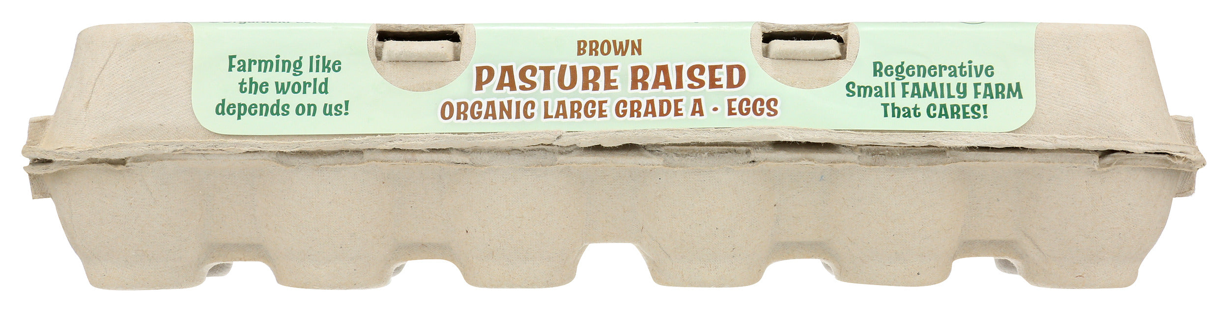 Eggs Brown, Pasture Raised Org, 1 doz