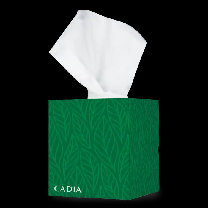 Facial Tissue Recycled 85 ct, 1 box