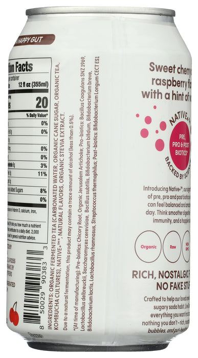 Spicy Cherry Berry Living Soda, Org, 12 fl oz