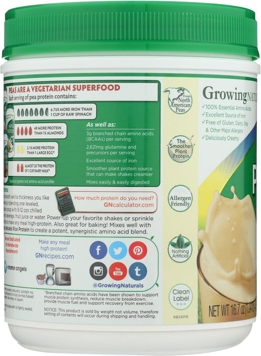 Pea Protein Powder, Vanilla, 1 lb