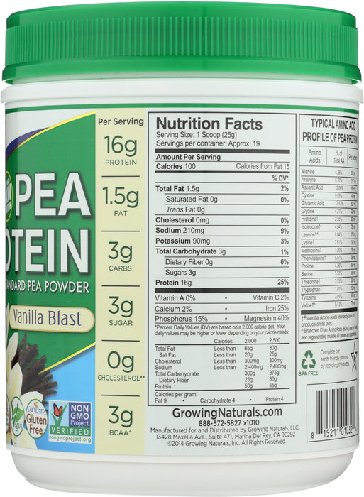 Pea Protein Powder, Vanilla, 1 lb