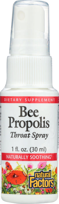 Bee Propolis Throat Spray, 1 fl oz