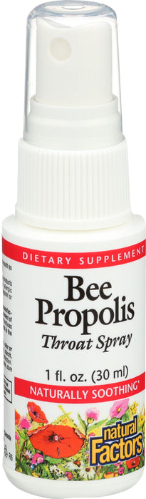 Bee Propolis Throat Spray, 1 fl oz