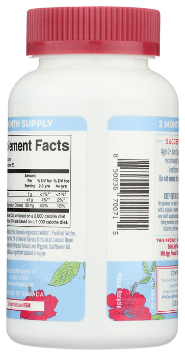 Kids Magnesium, Hibiscus, 60 gummy