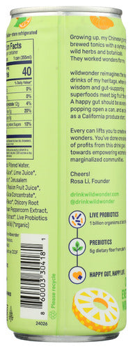 Pineapple Paradise Probiotic Sparkling Drink, Org, 12 fl oz