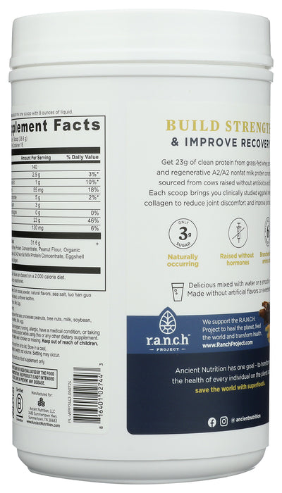 Whey Protein Powder, Chocolate Peanut Butter, 21.5 oz/ 18 serv