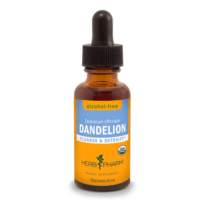 Dandelion Glycerite 1 oz